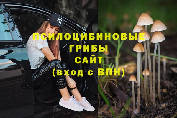 PSILOCYBIN Богородск